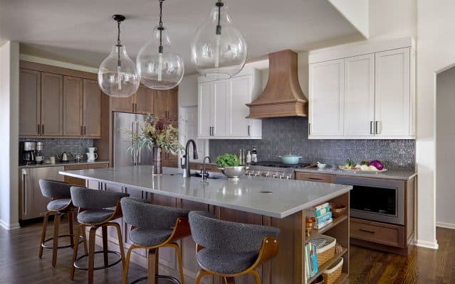 Alder White Transitional Kitchen